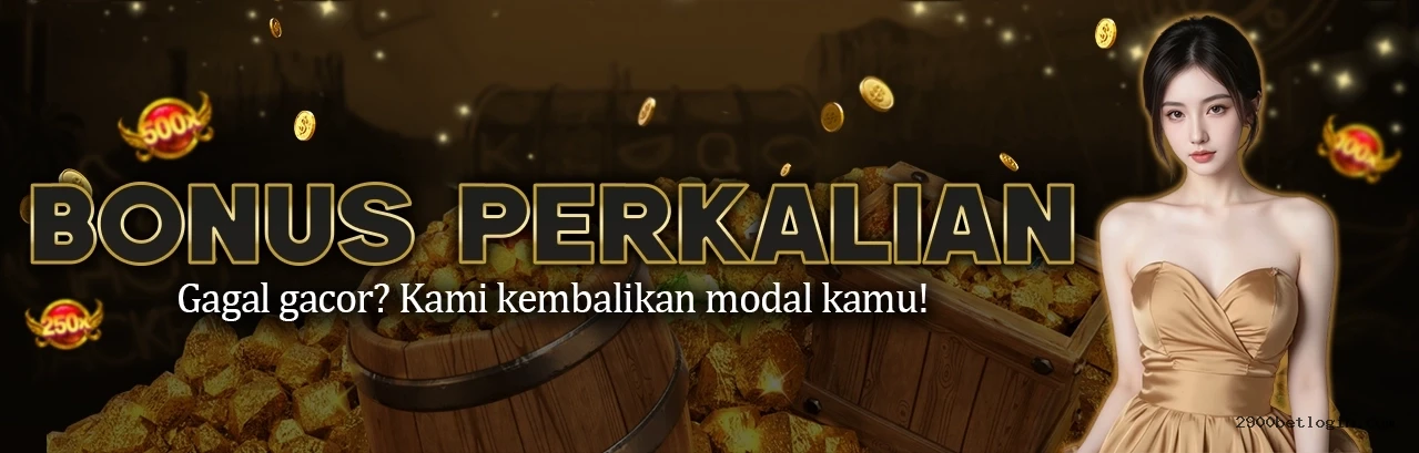 2900Bet Provedores Premium